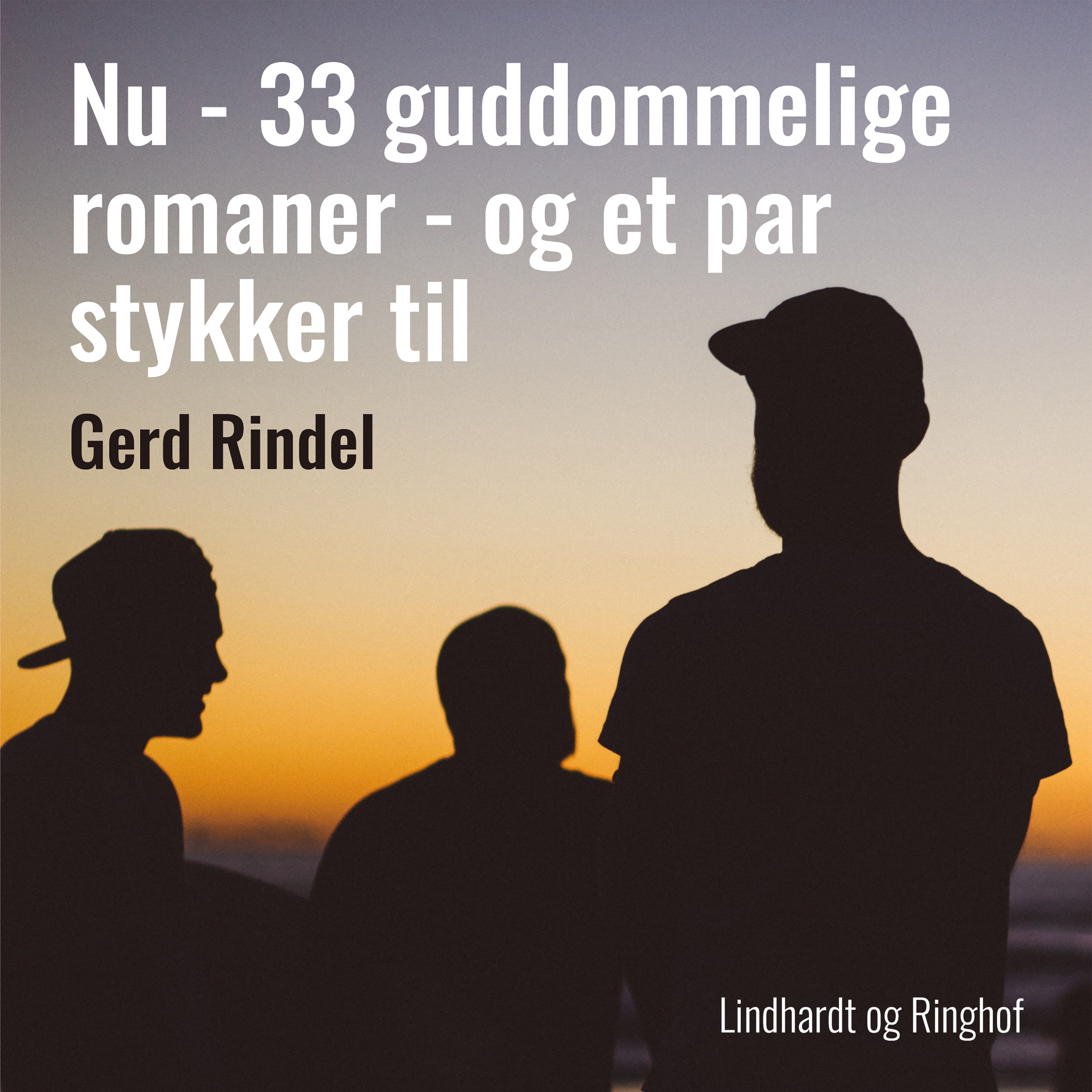 Forside billede