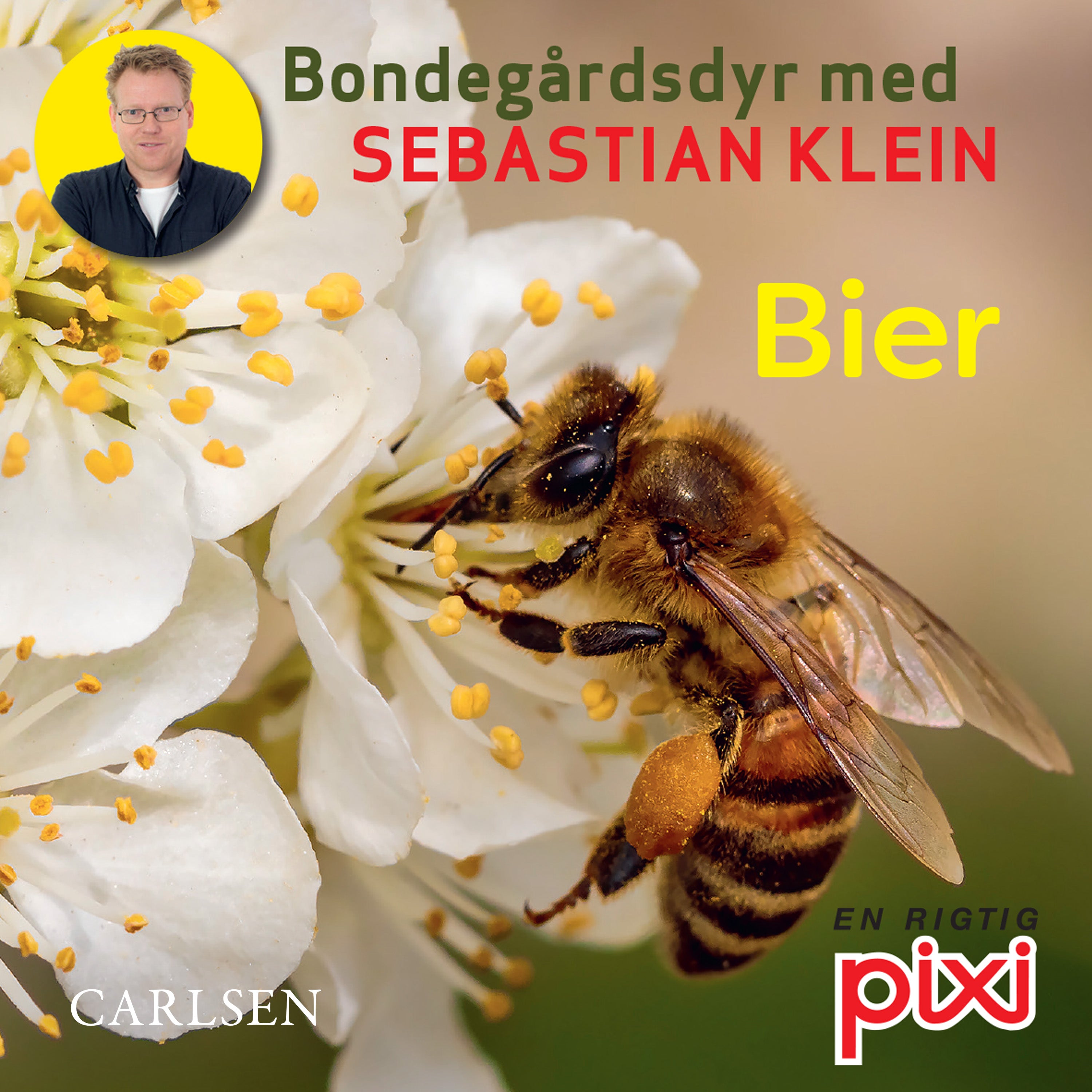 Forside billede