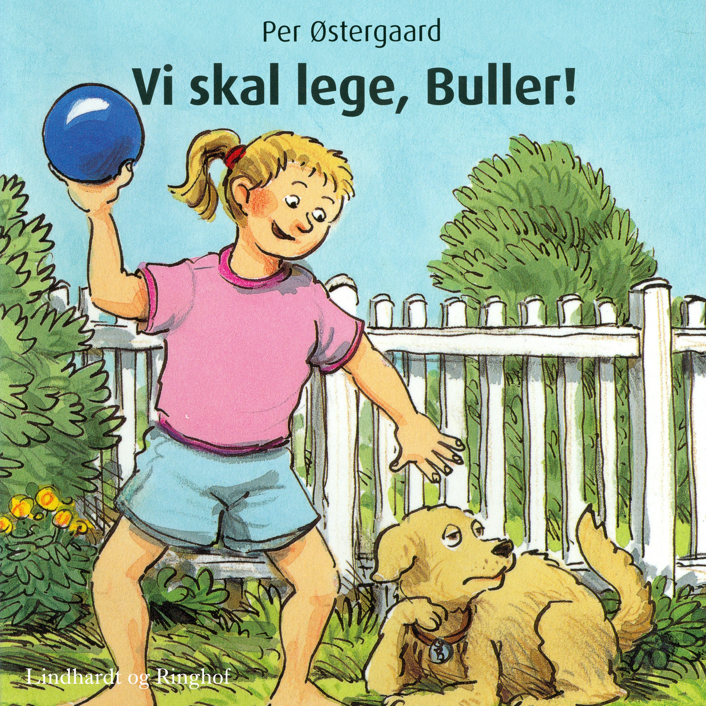 Forside billede