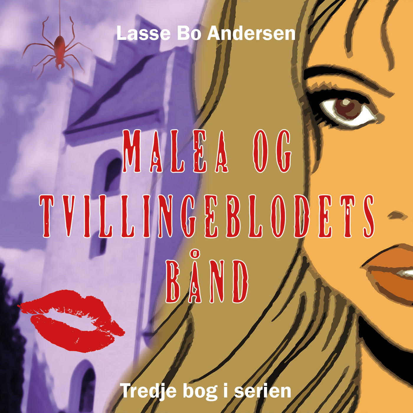 Forside billede