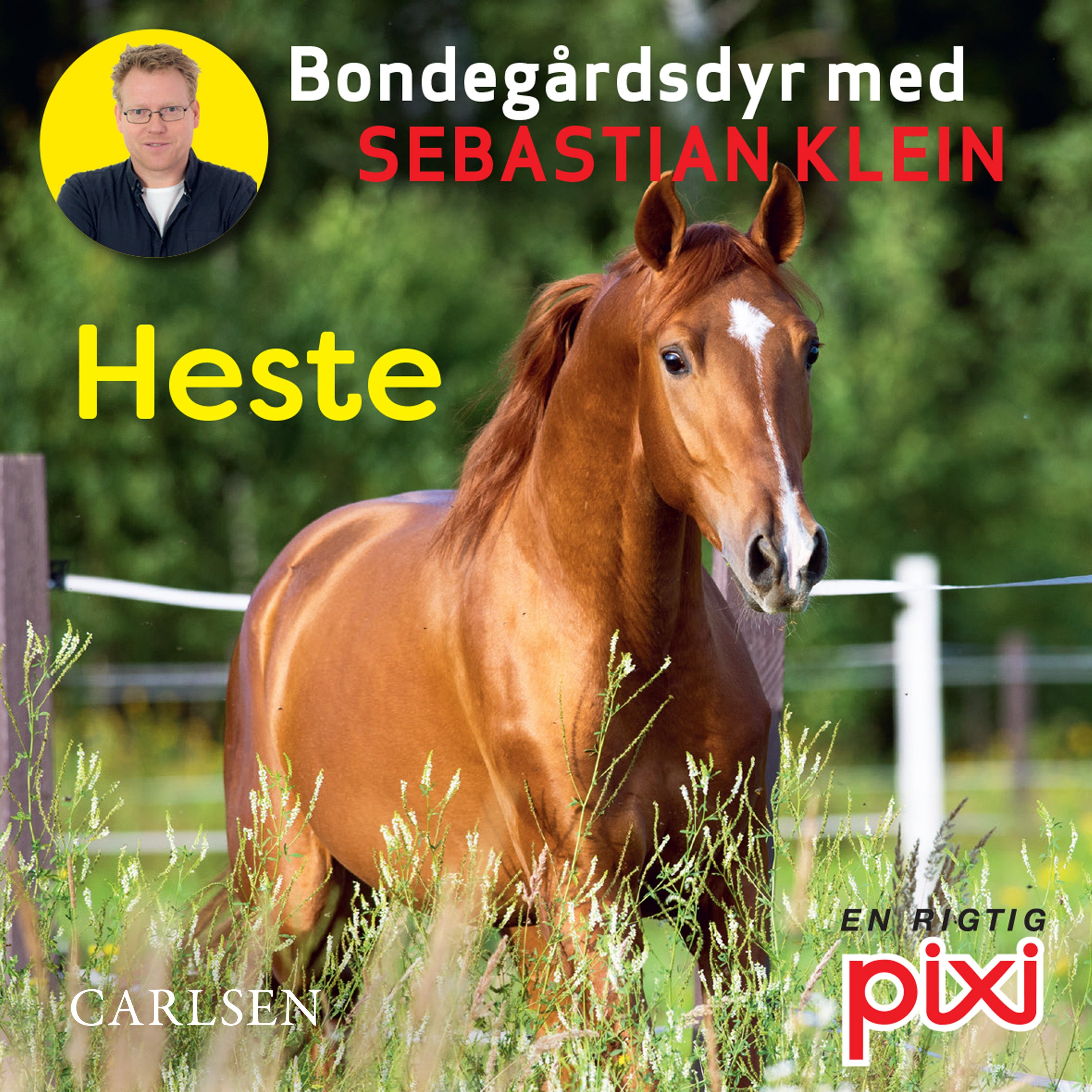 Forside billede
