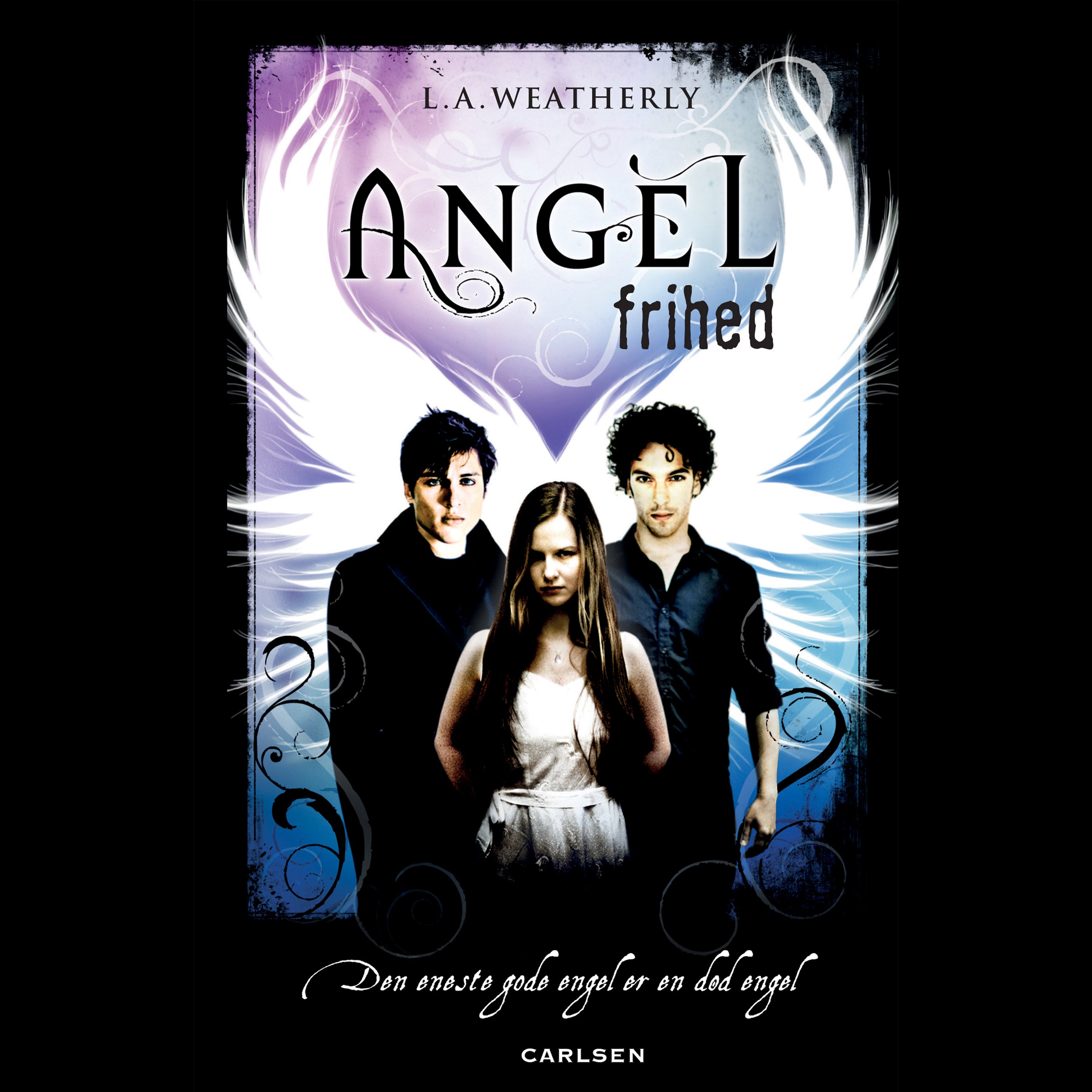 Forside billede