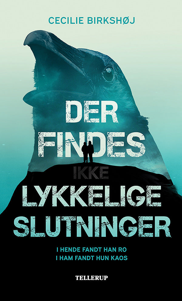 Forside billede