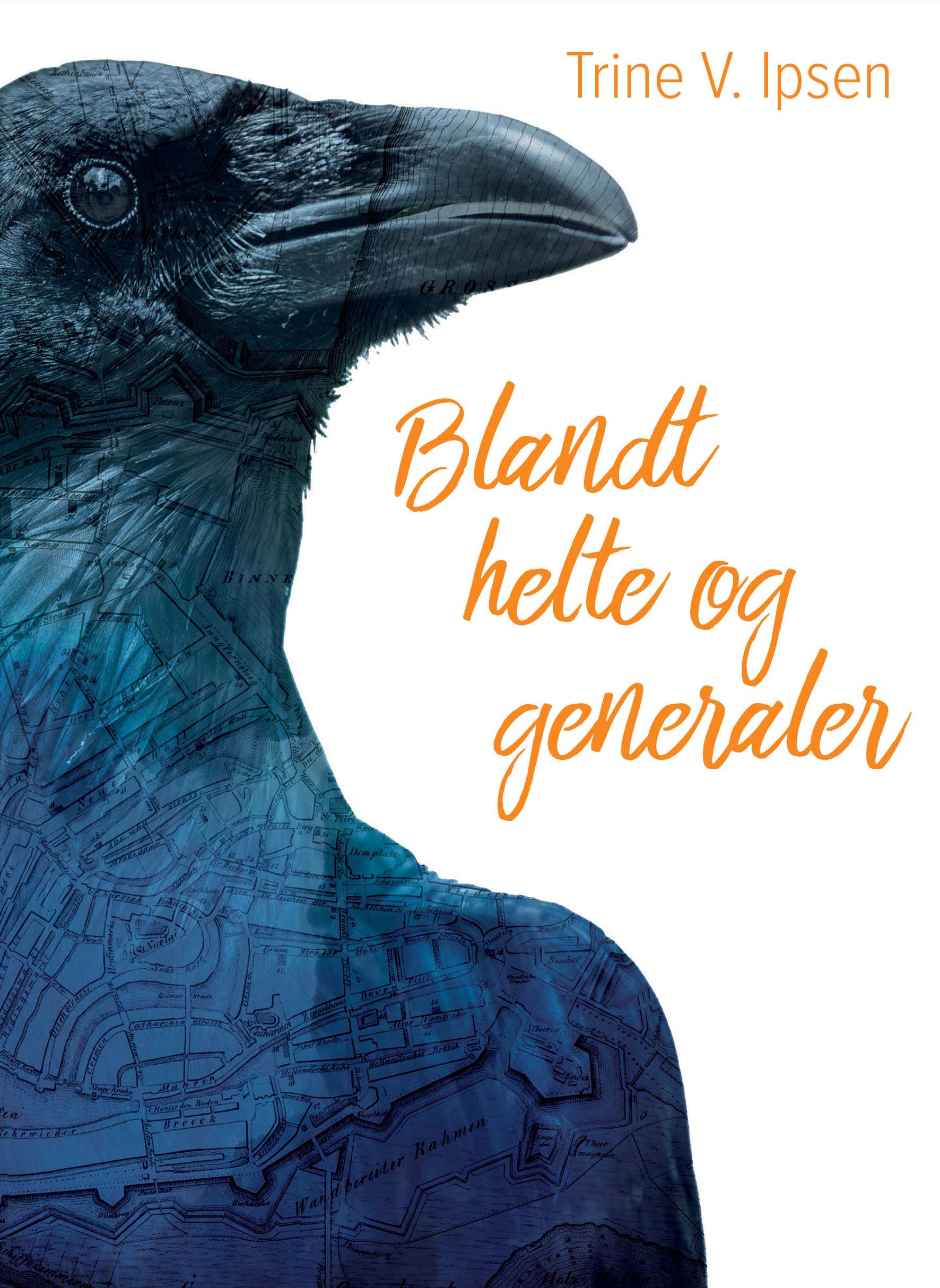 Forside billede