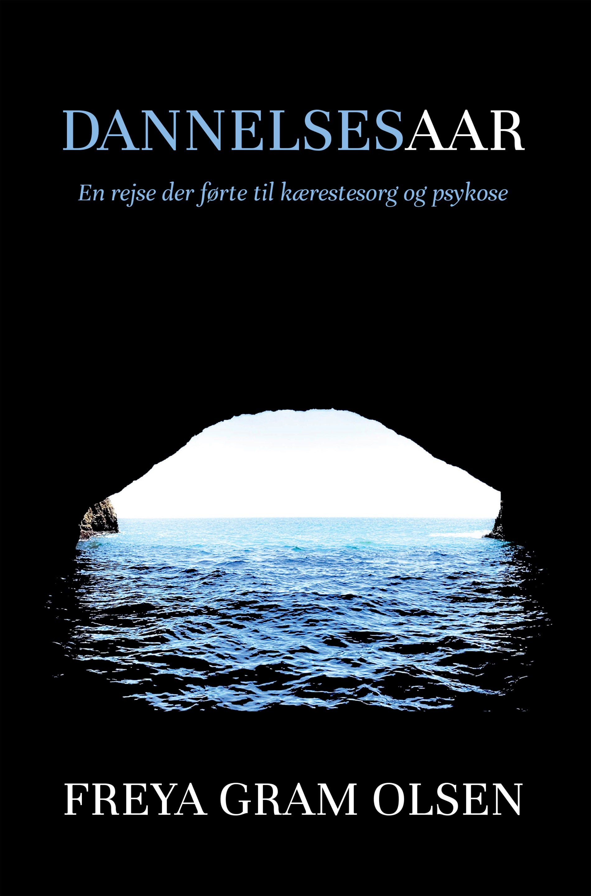 Forside billede
