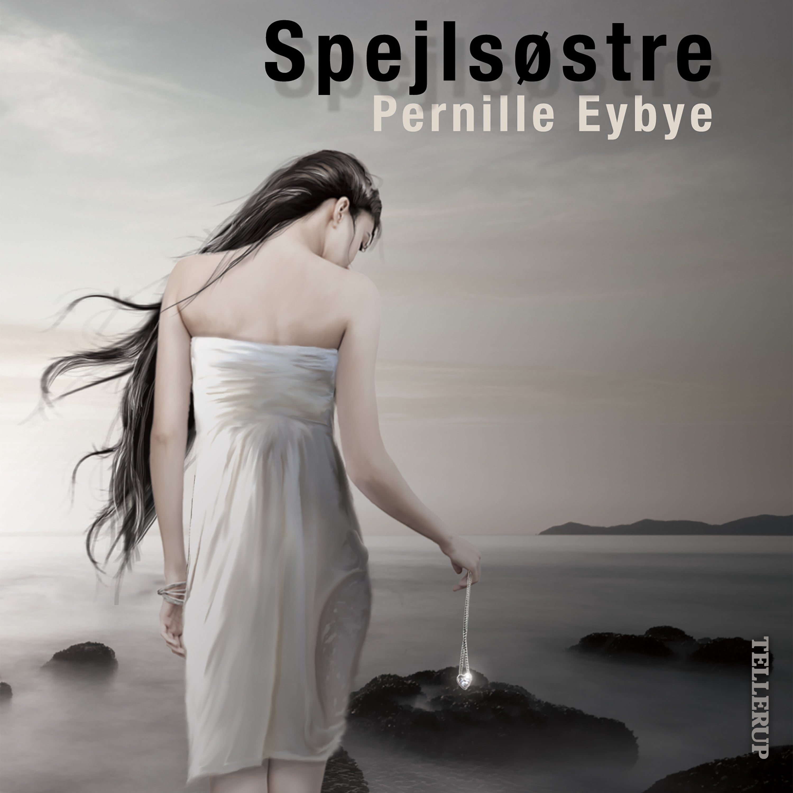Forside billede