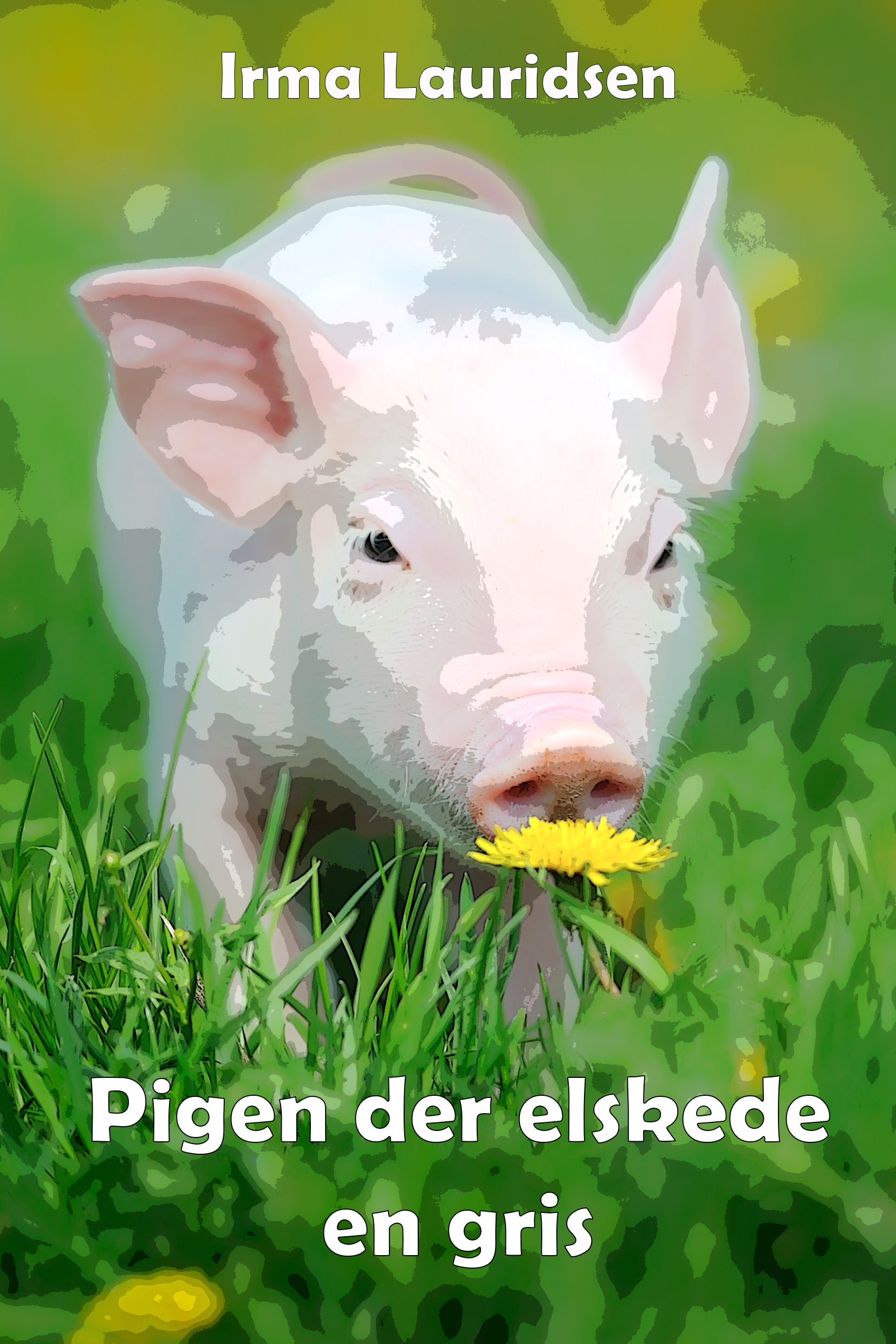 Forside billede
