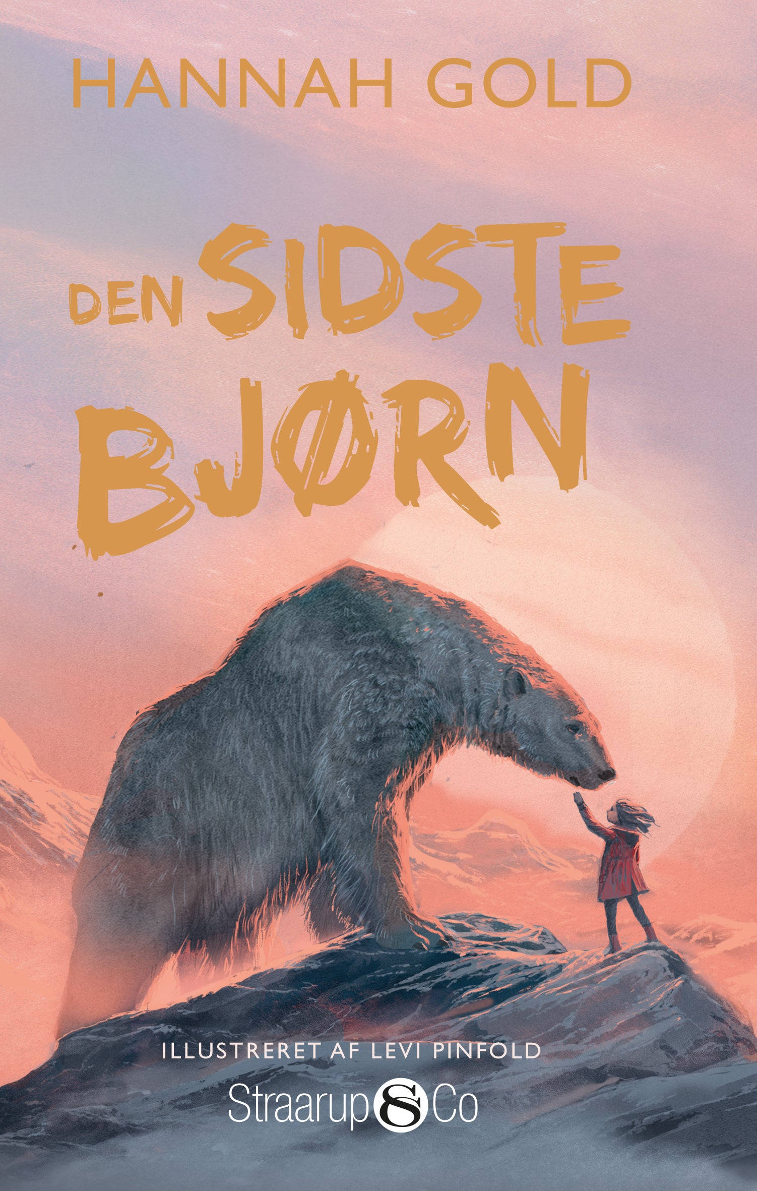 Forside billede
