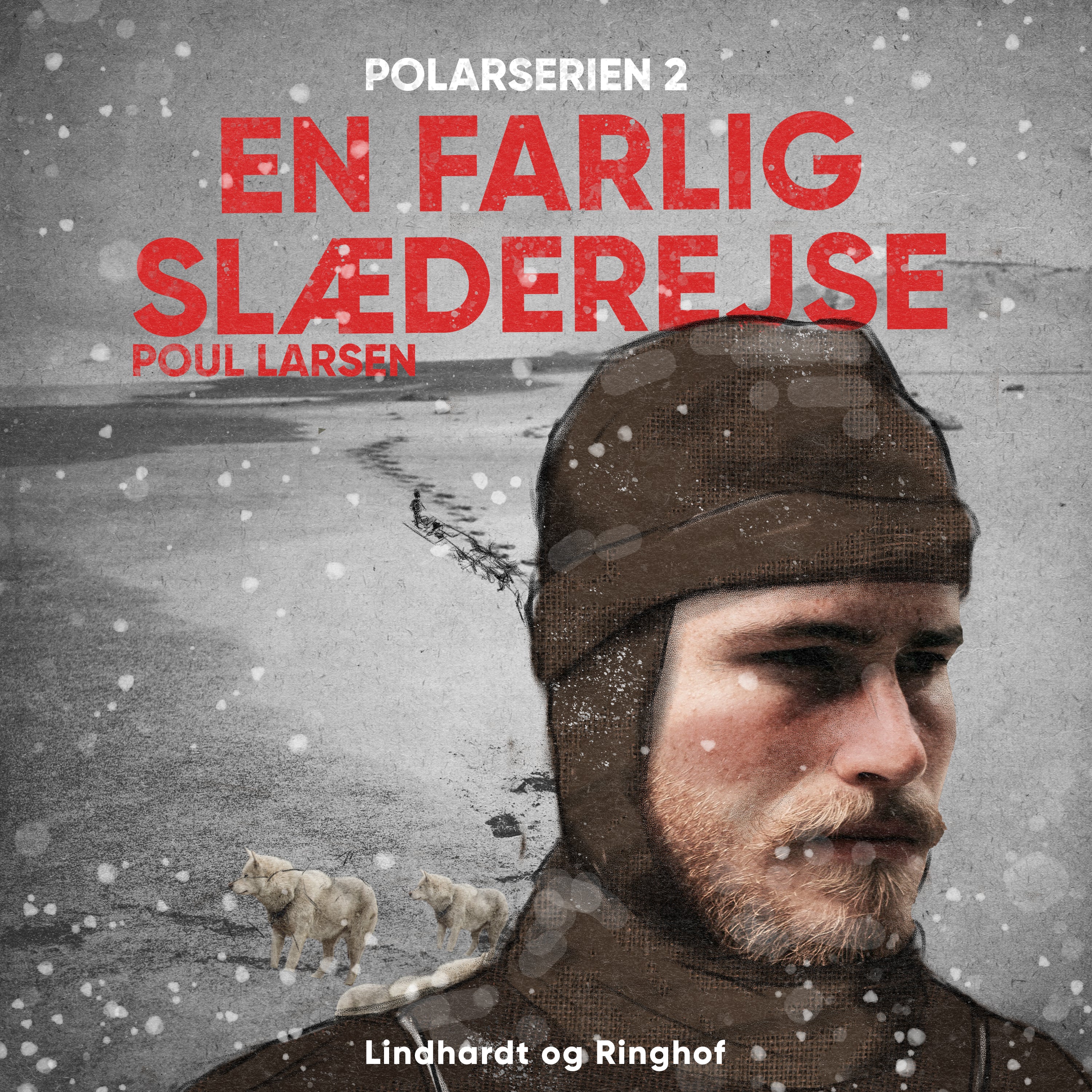 Forside billede
