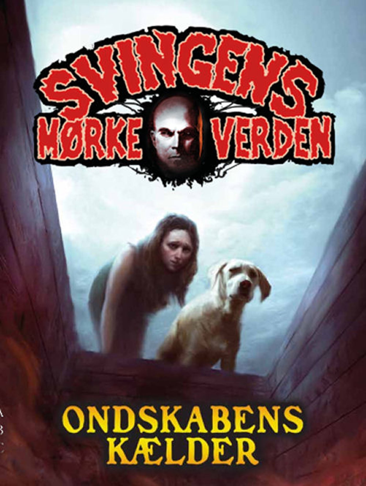 Forside billede