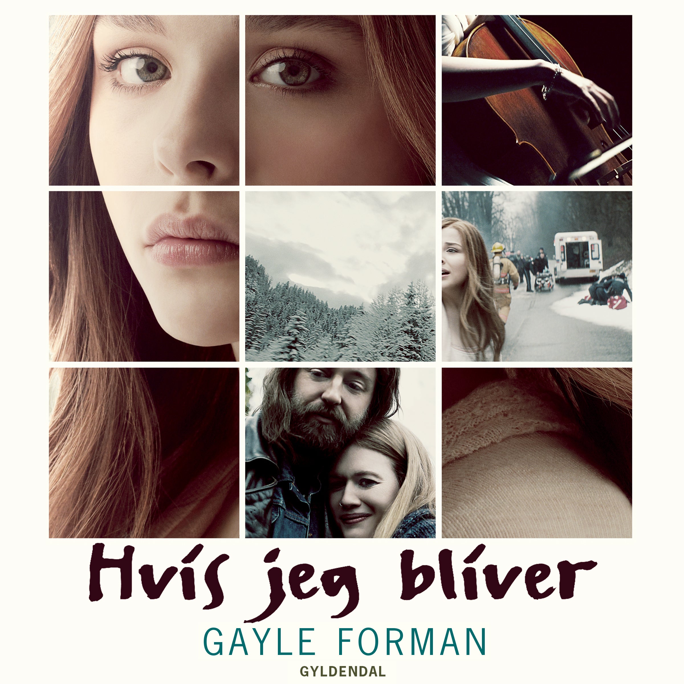 Forside billede