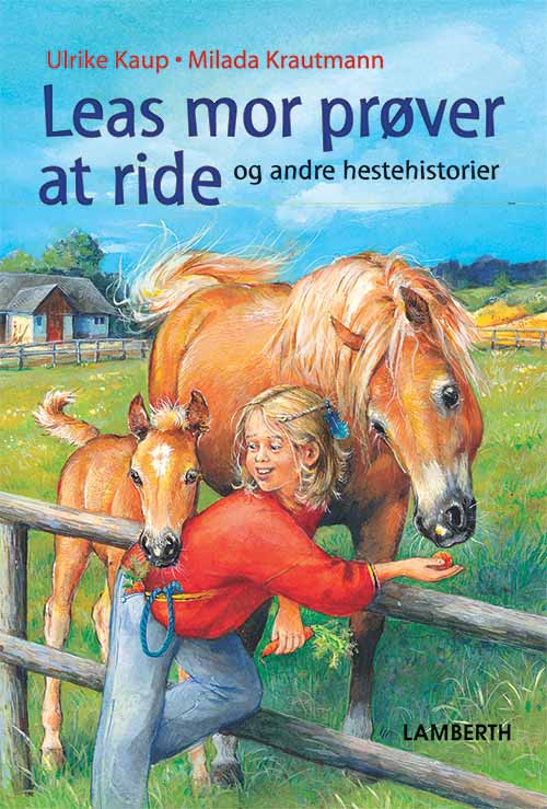 Forside billede