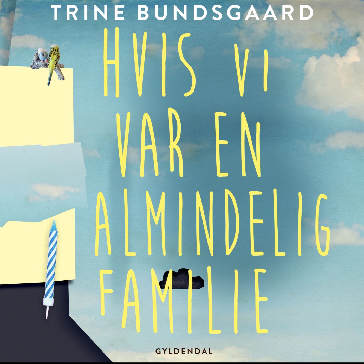 Forside billede